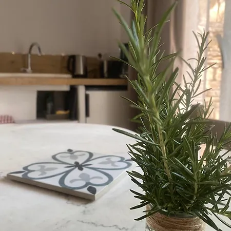 La Granja 아파트 님