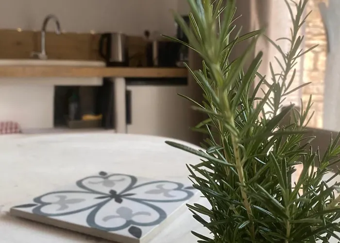 La Granja 아파트 님